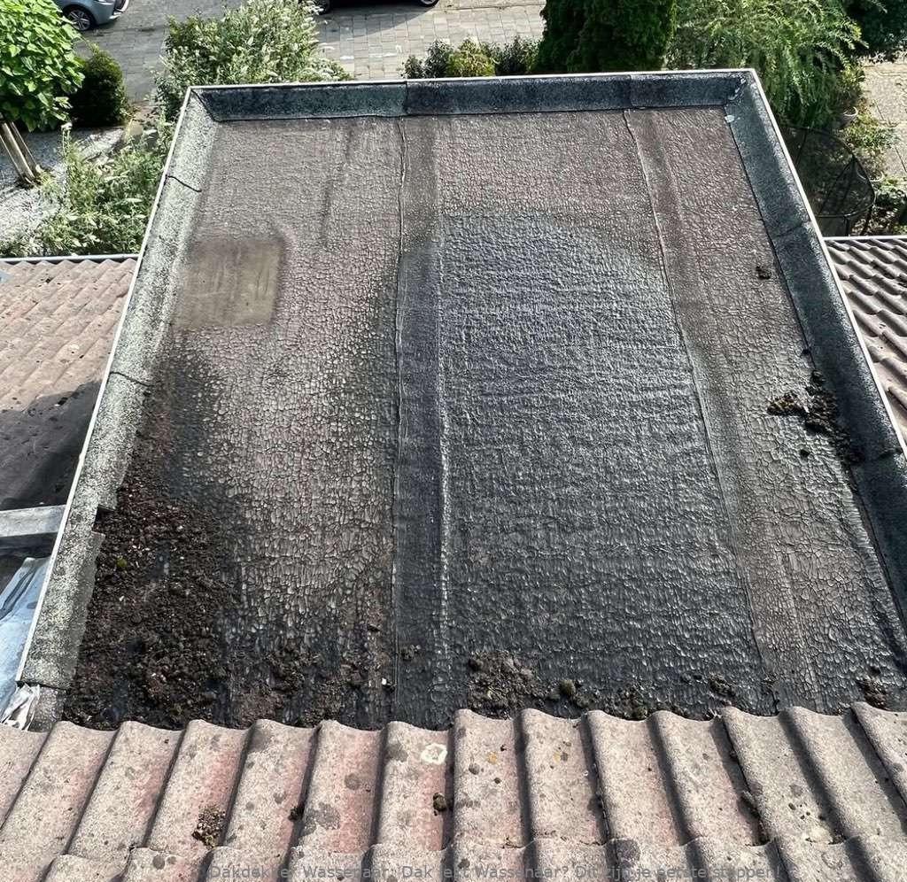 Dak Lekt Wassenaar