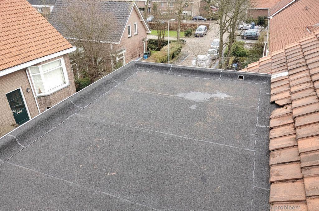 Dakdekker In Najaar Wassenaar