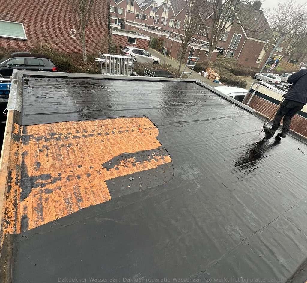 Dakleer Reparatie Wassenaar
