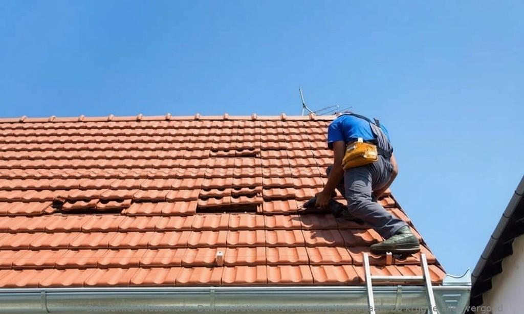 Dakreparatie En Verzekering Wassenaar