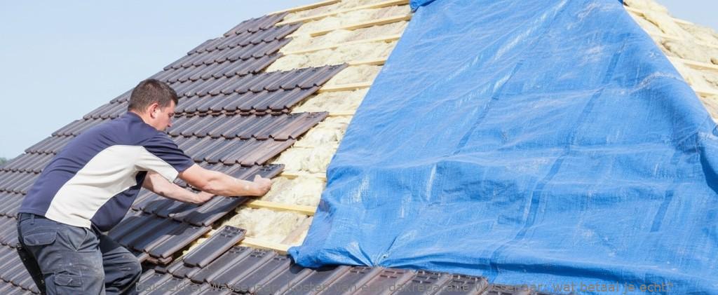 Kosten Van Een Dakreparatie Wassenaar