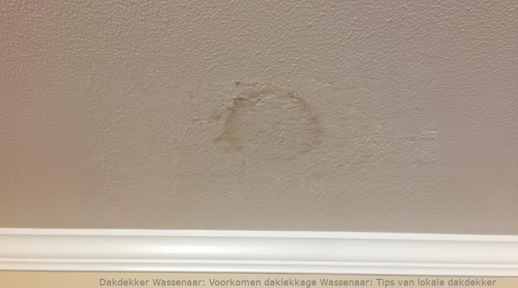 Voorkomen Daklekkage Wassenaar