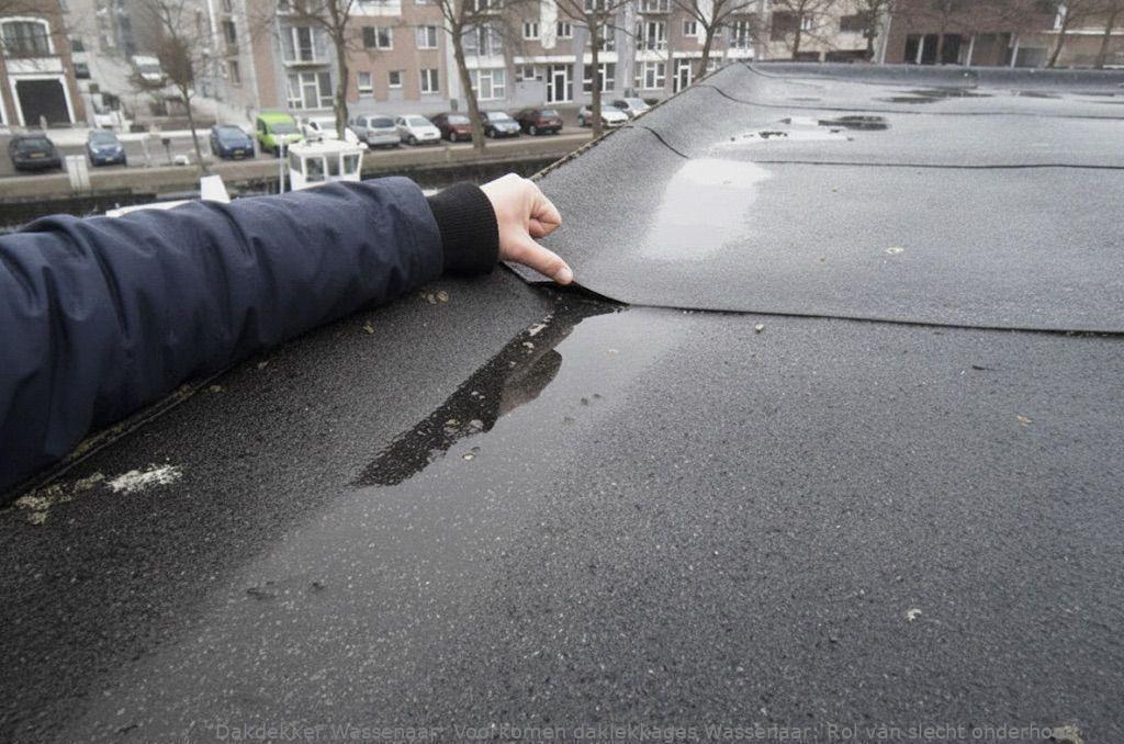 Voorkomen Daklekkages Wassenaar