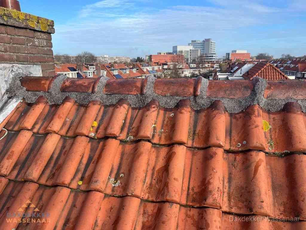 Wassenaar Daken Renoveren